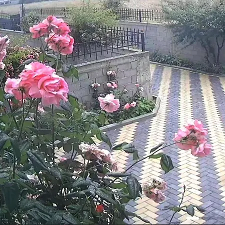 Beautiful 1-bed House In * Görice